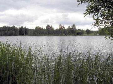 Фото номера Дом для отпуска Дома для отпуска Holiday Home Petäjäniemi г. Saari 32